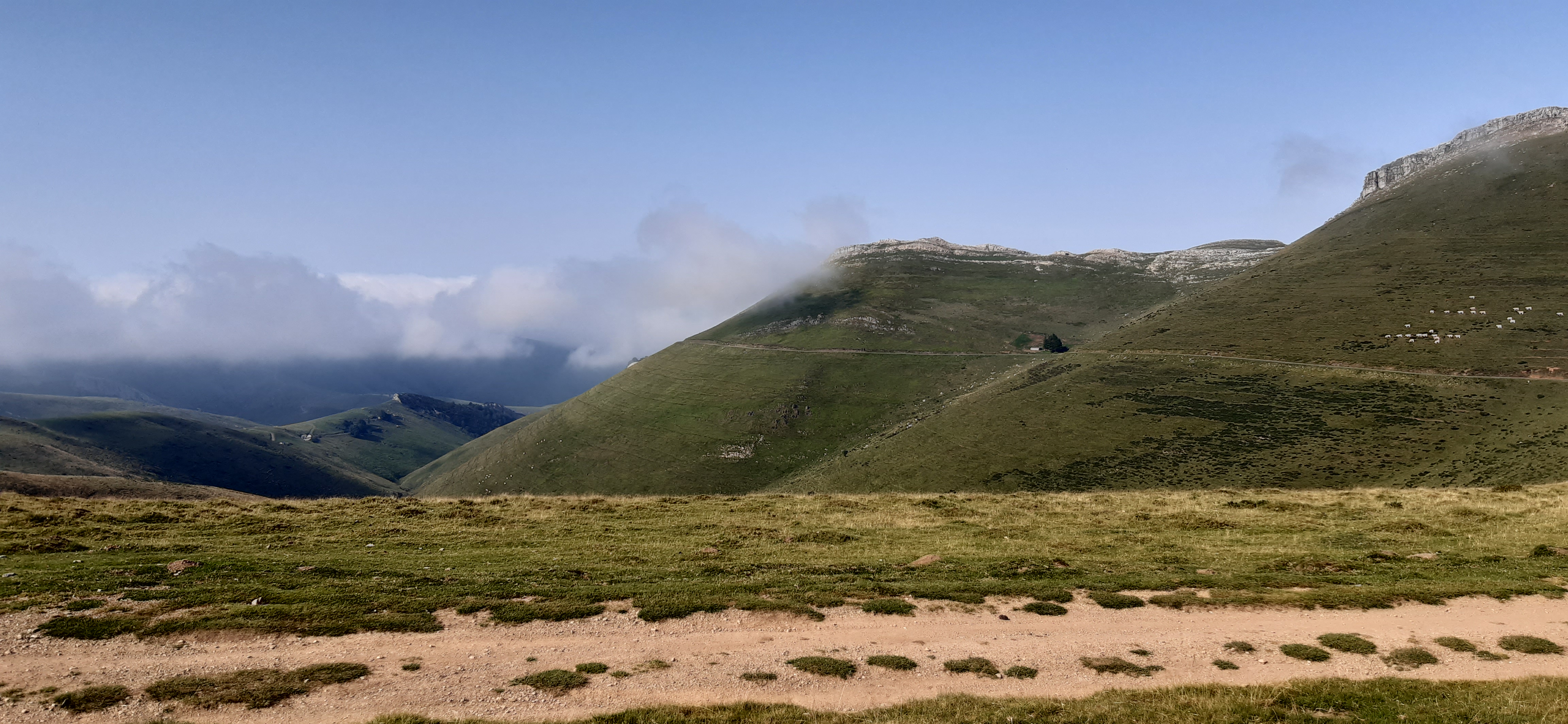 jolie image illustrative