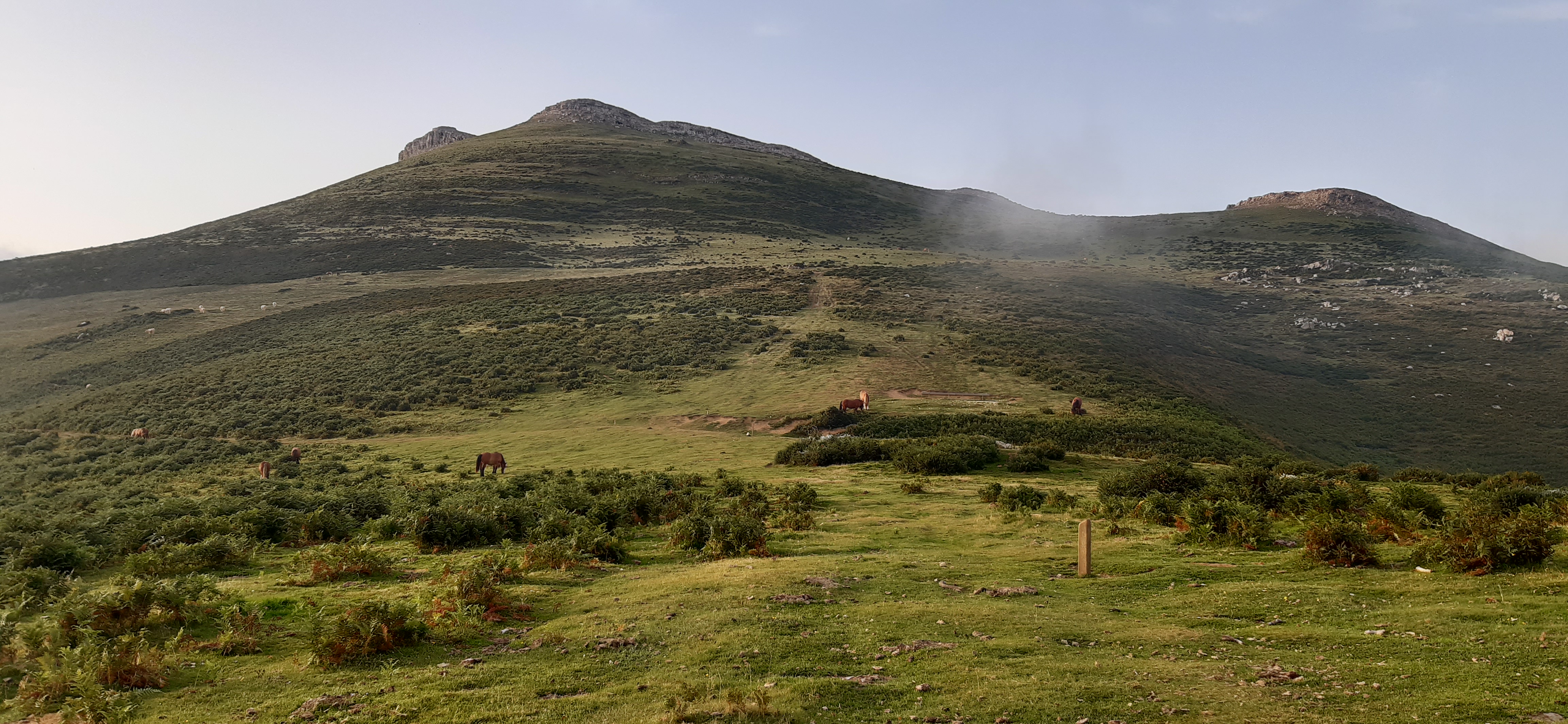 jolie image illustrative