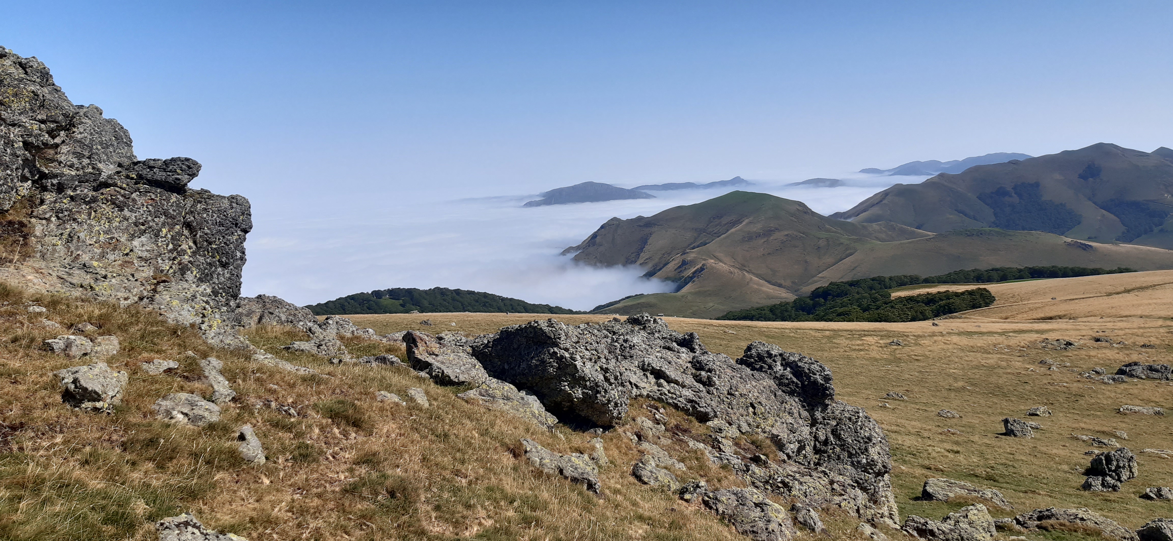 jolie image illustrative