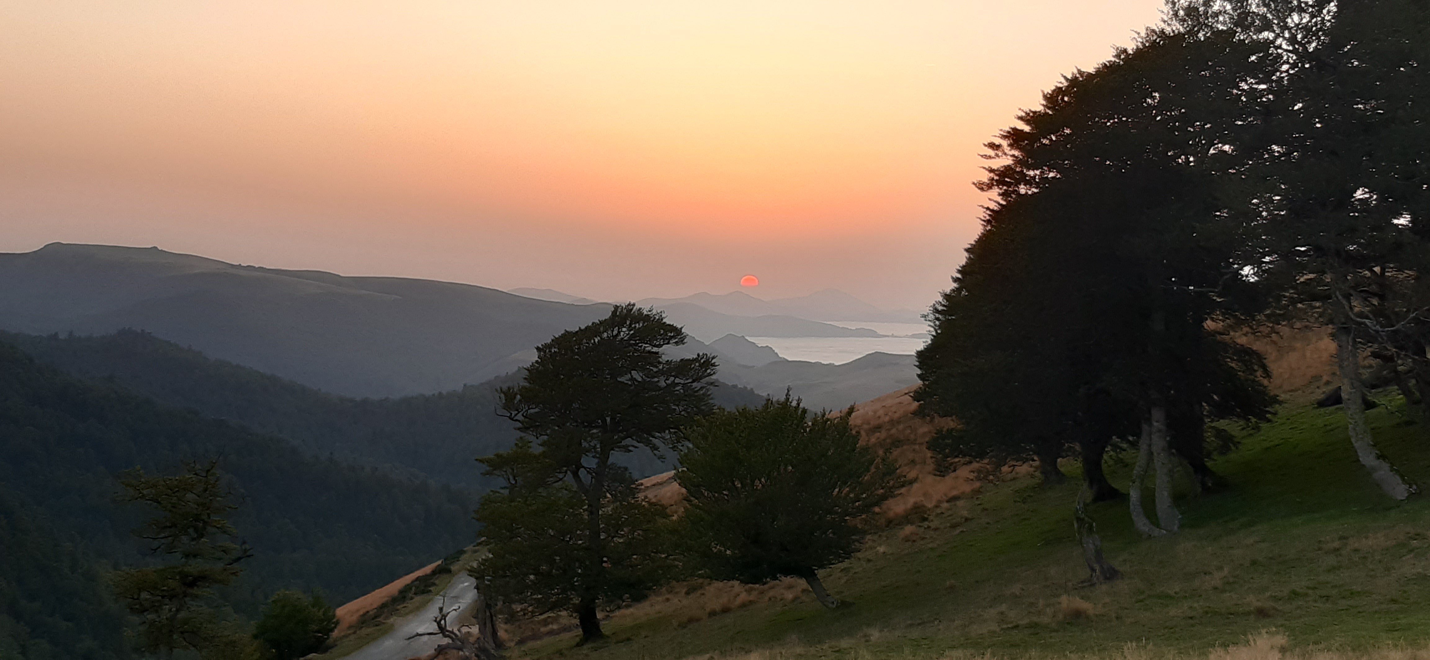 jolie image illustrative