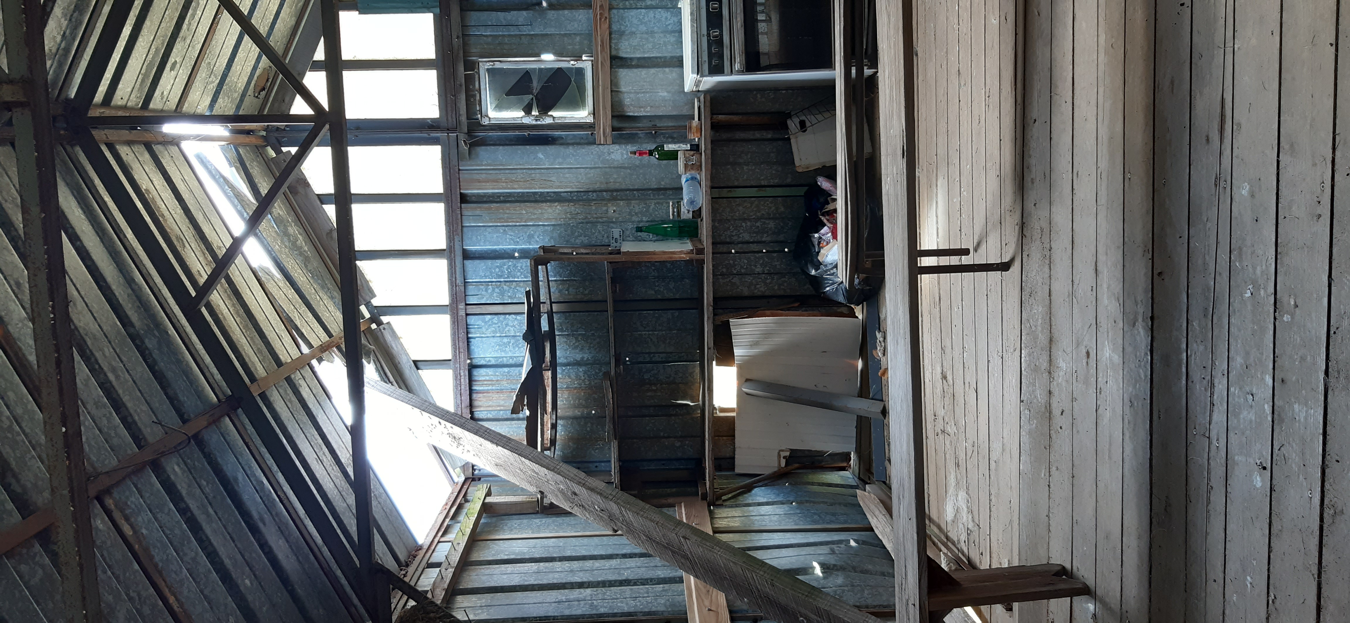 jolie image illustrative