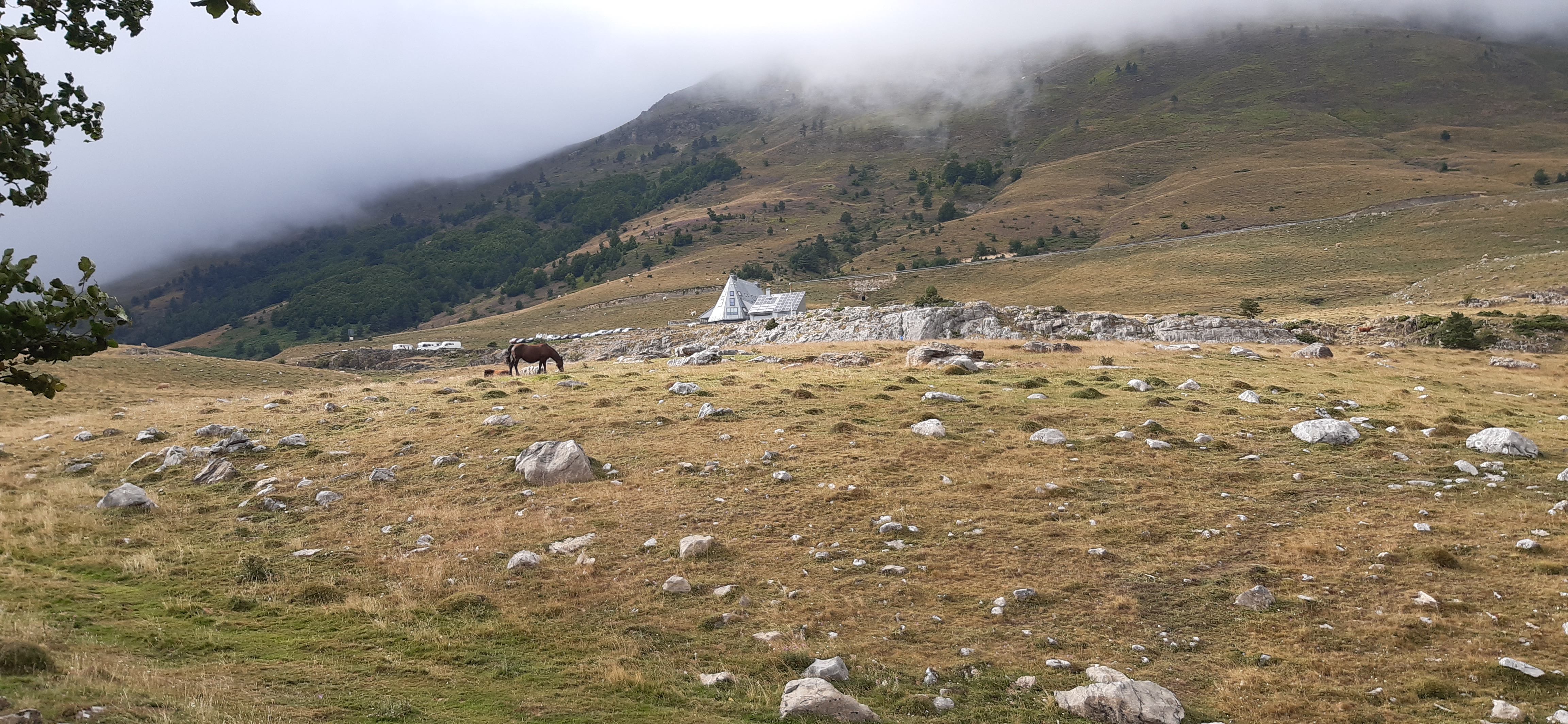 jolie image illustrative