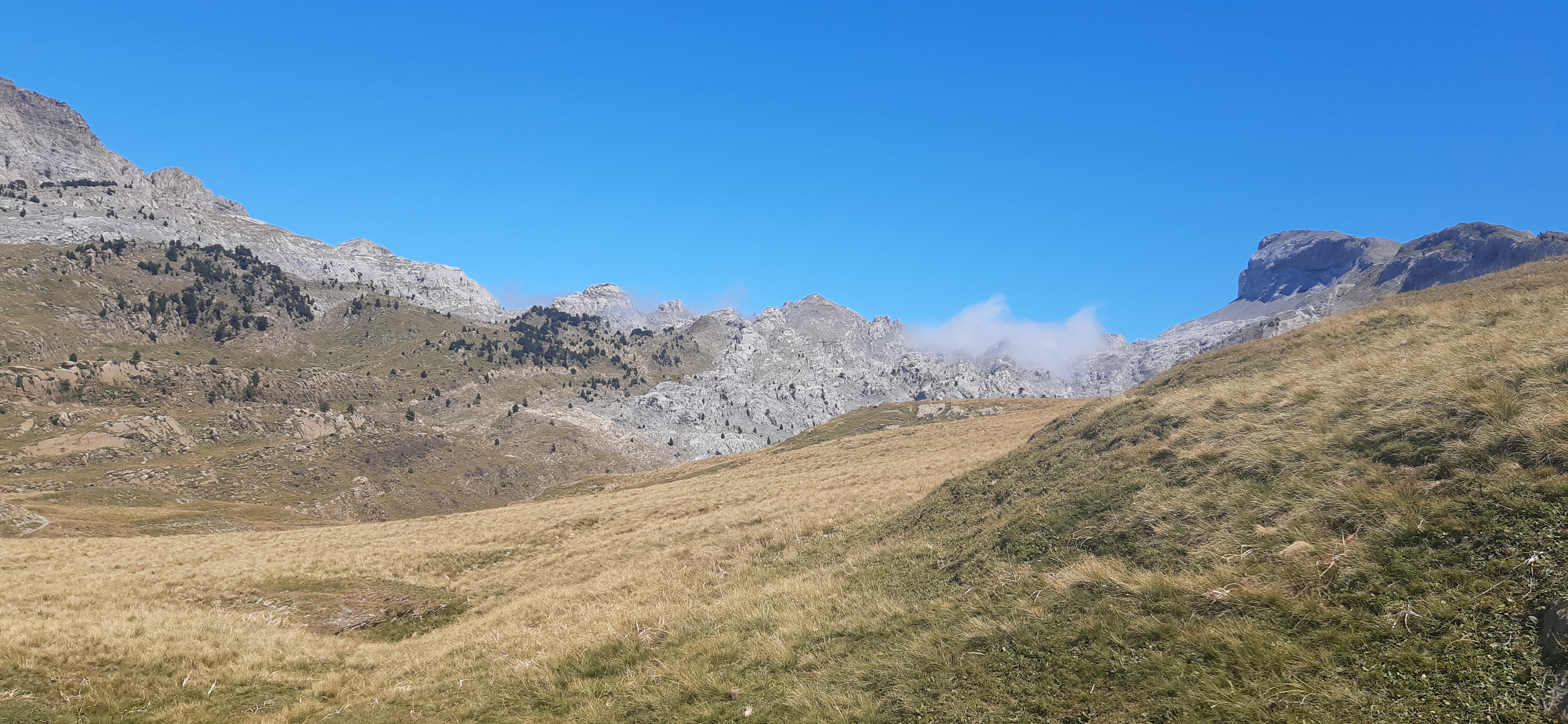 jolie image illustrative