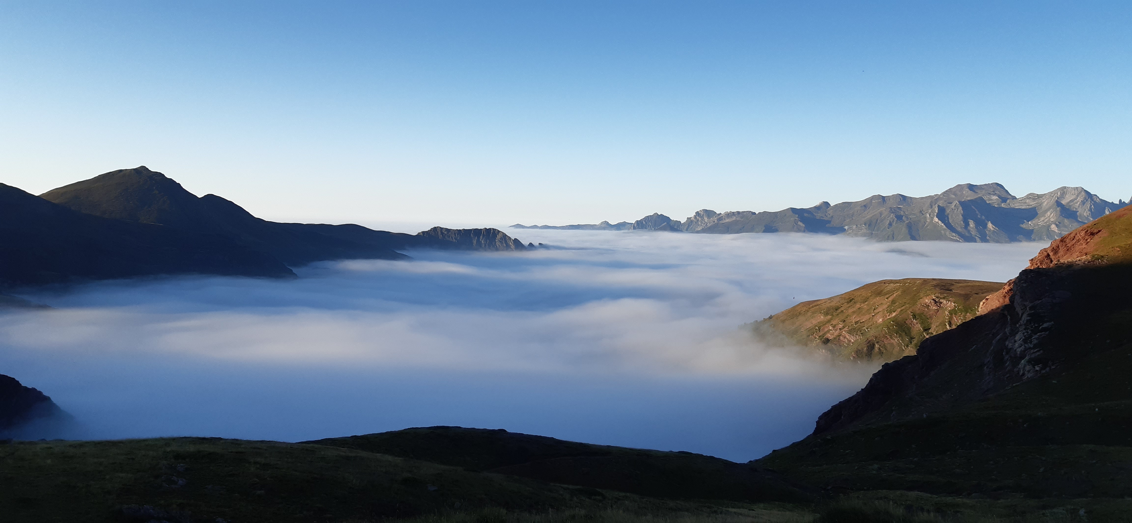 jolie image illustrative