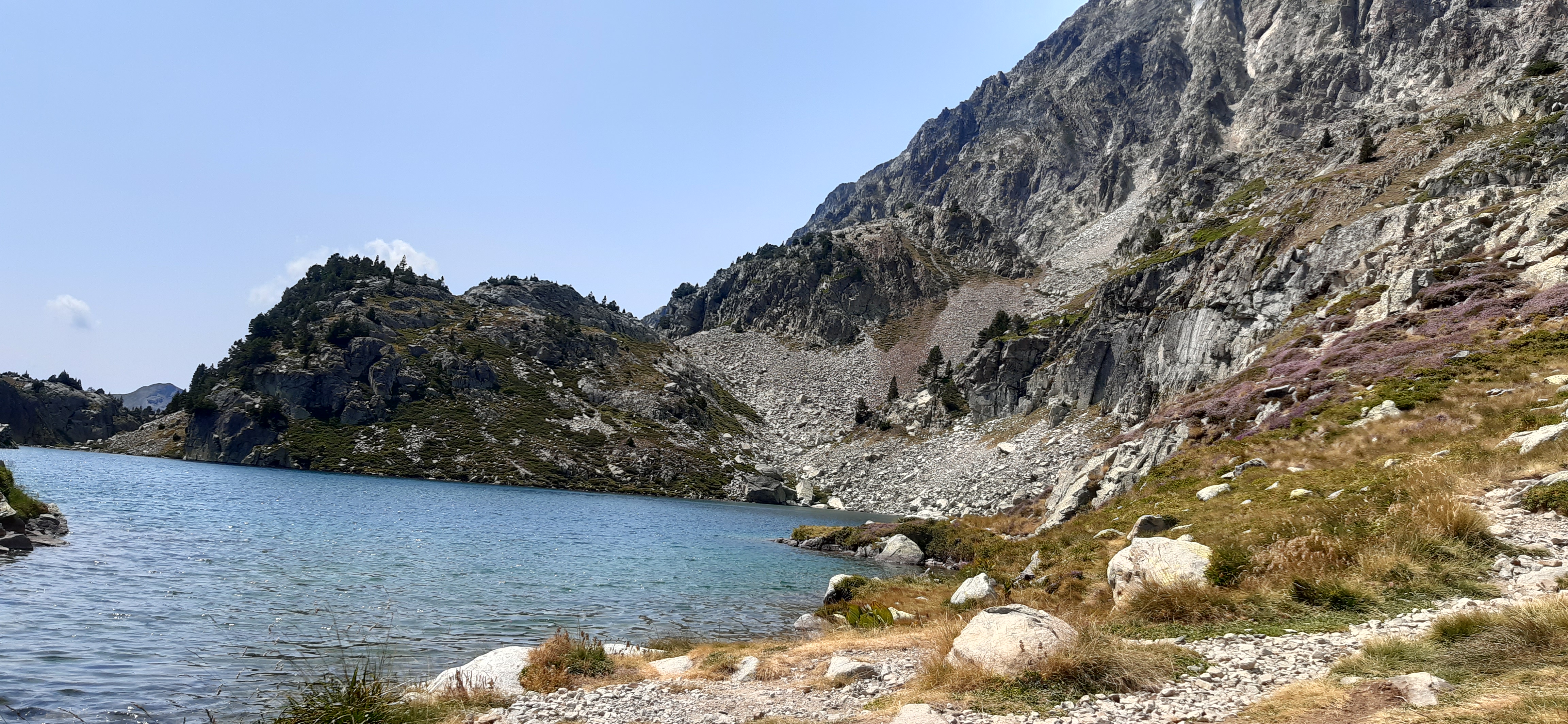 jolie image illustrative