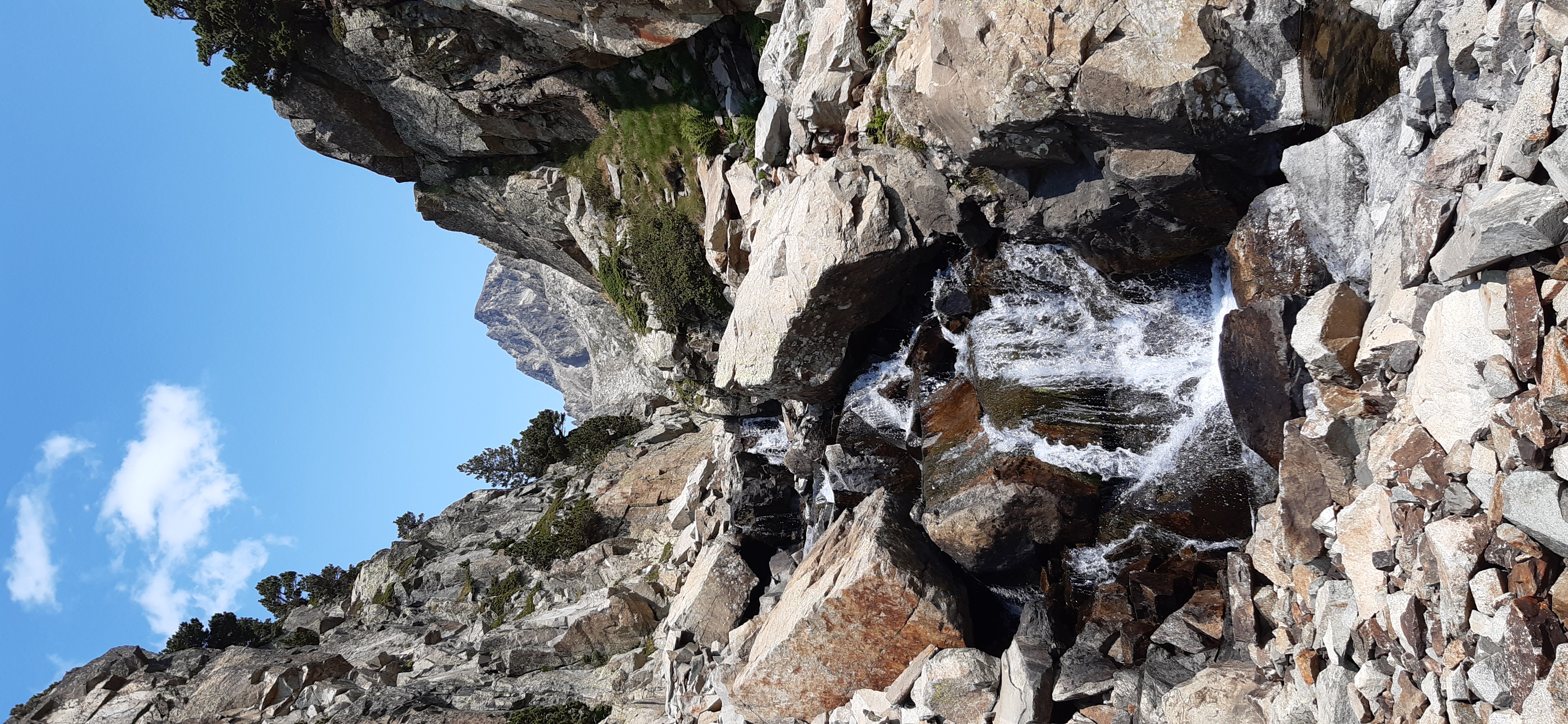 jolie image illustrative