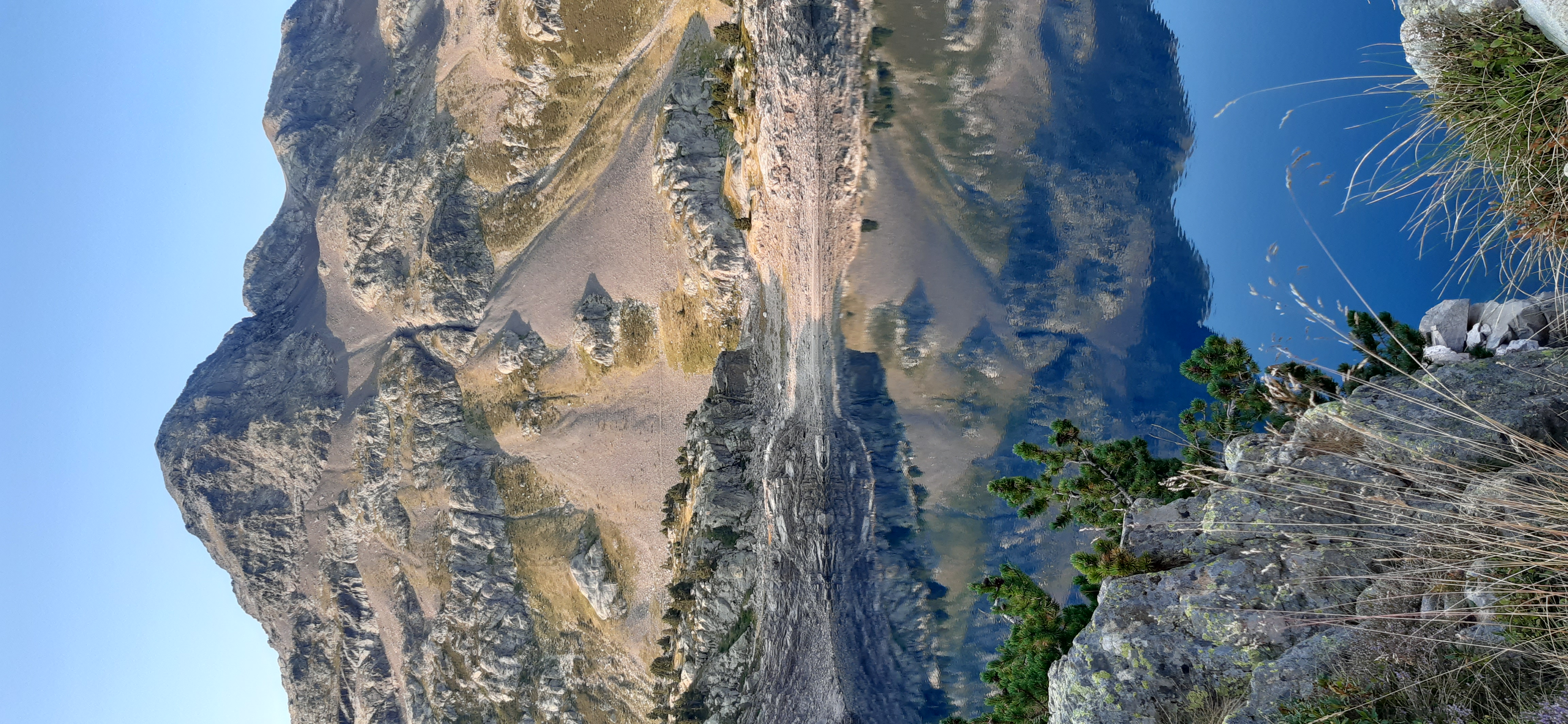 jolie image illustrative