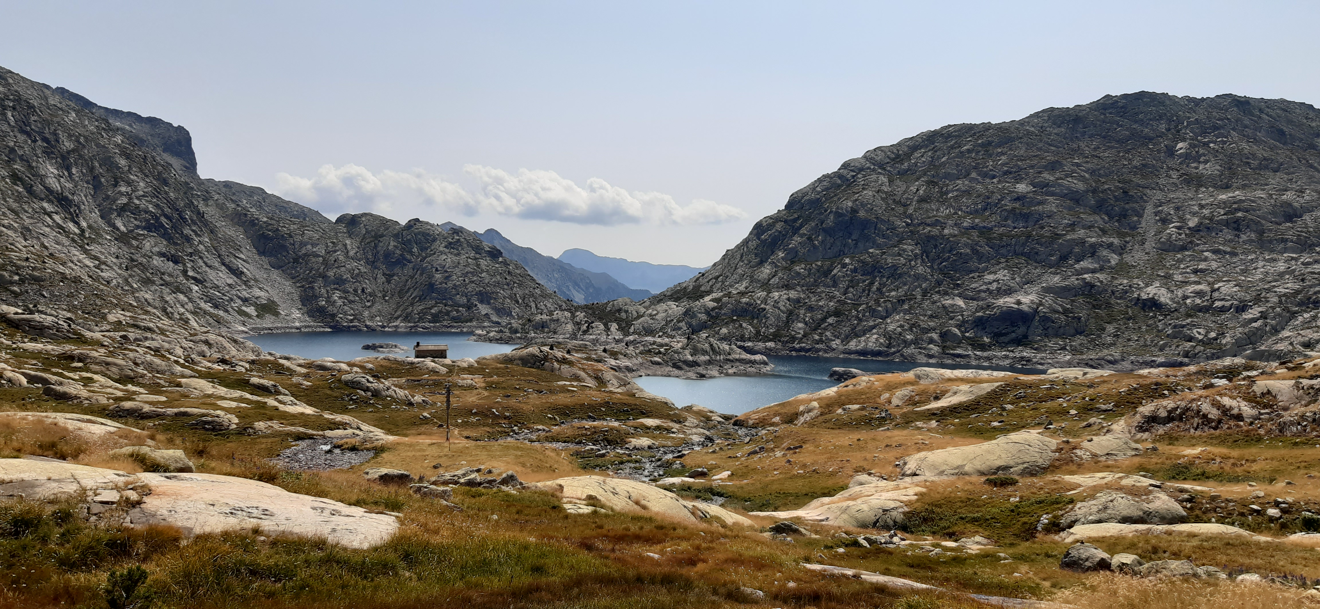 jolie image illustrative