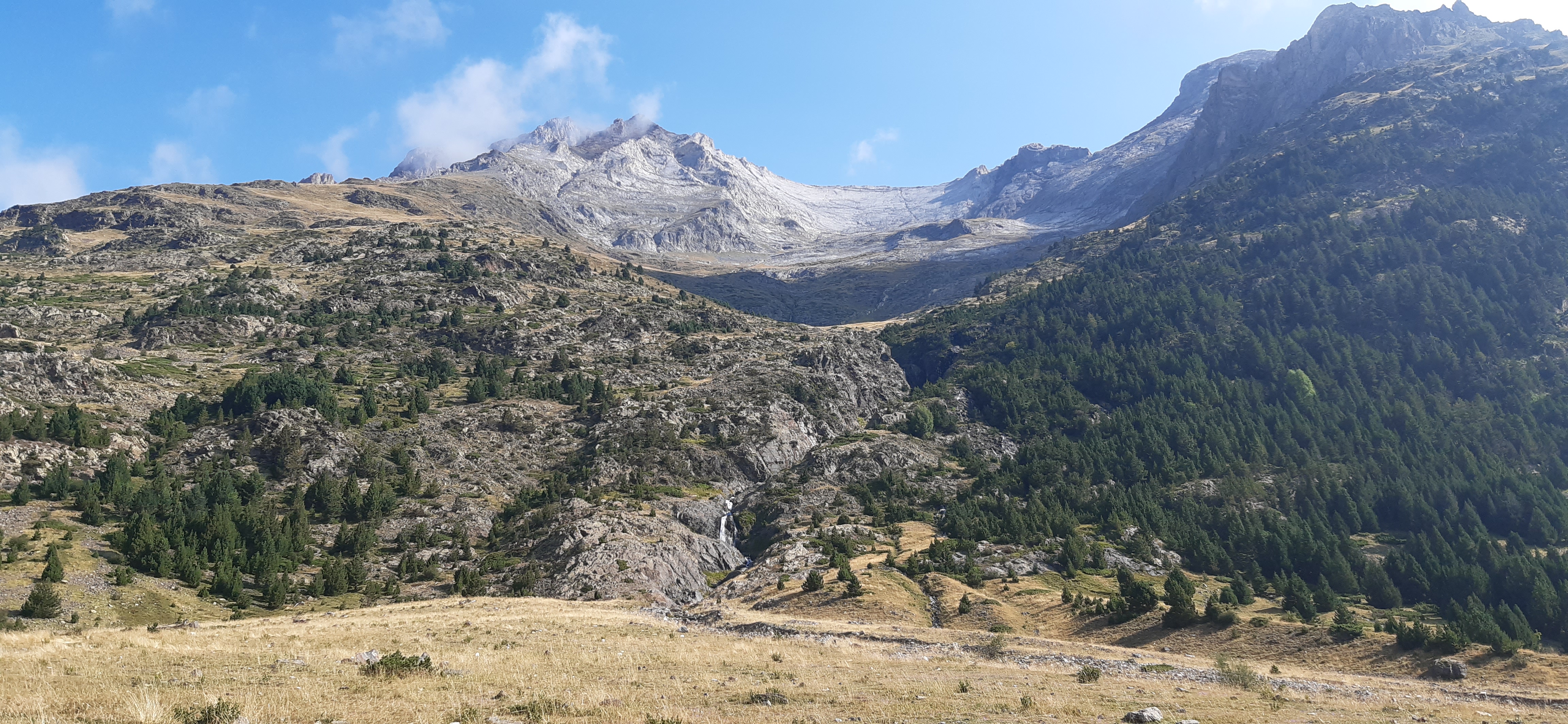 jolie image illustrative