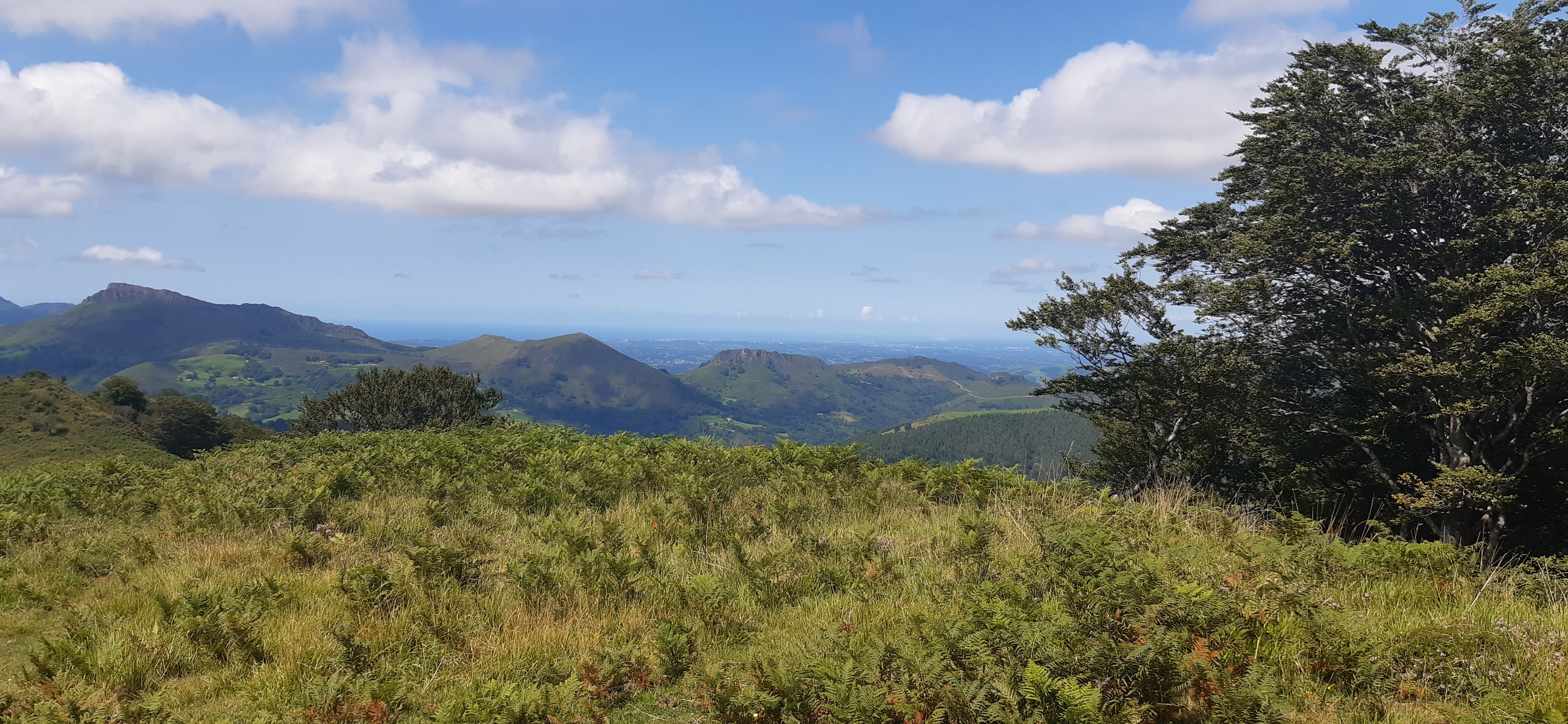 jolie image illustrative