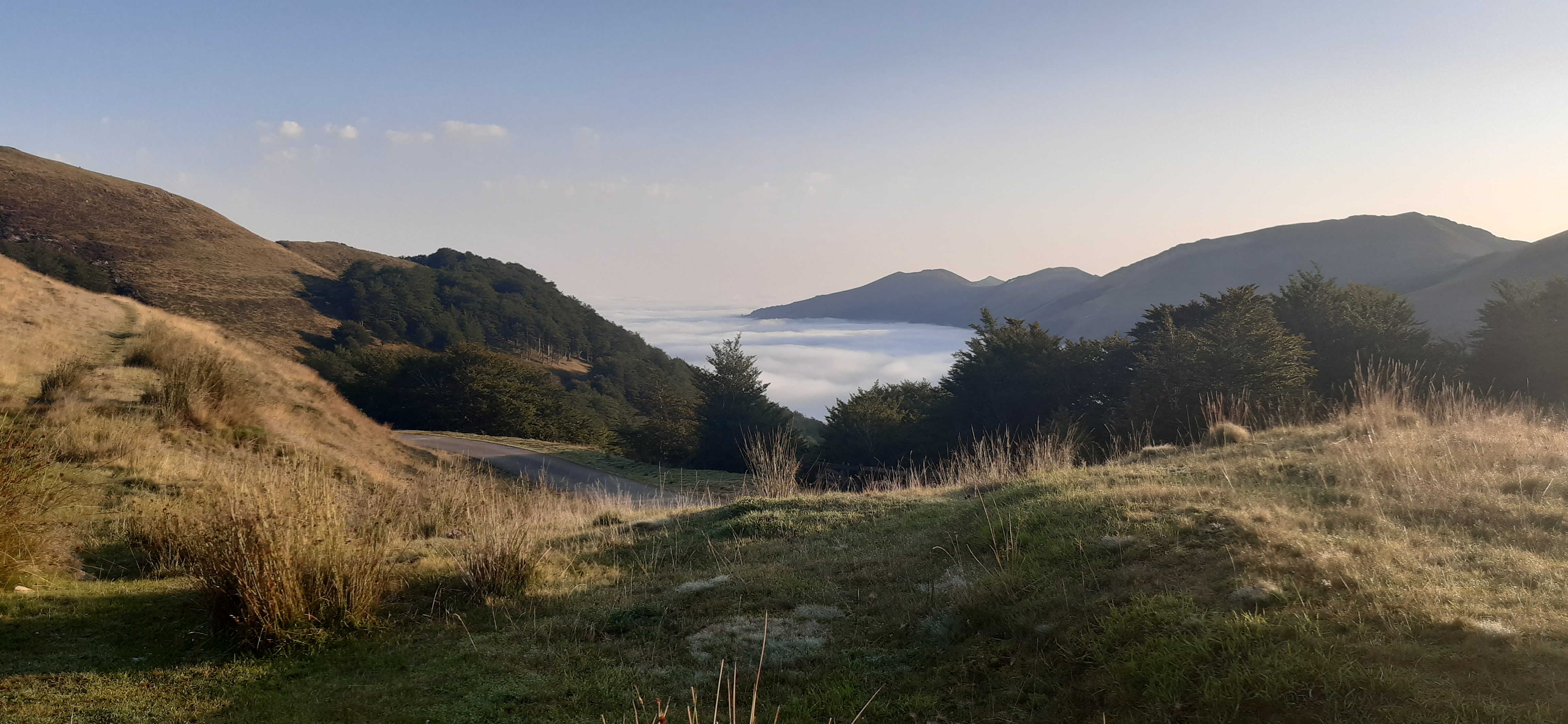 jolie image illustrative